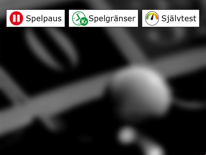 Spelansvarikoner